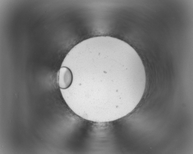 X0000060810672200511101454