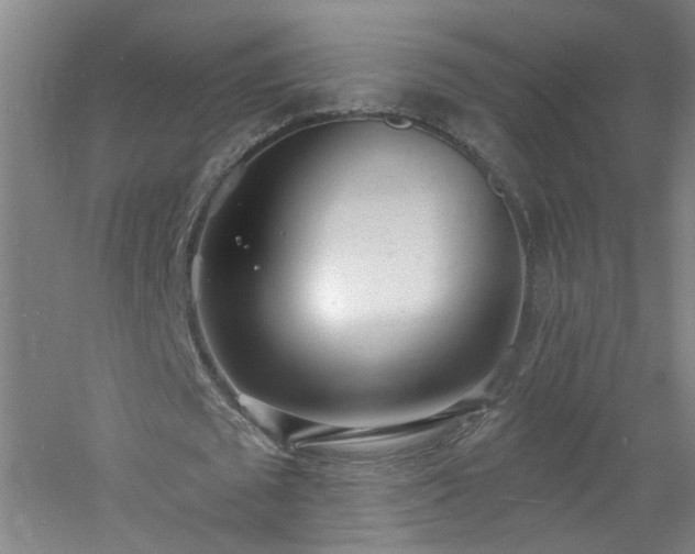 X0000060810673200511101454