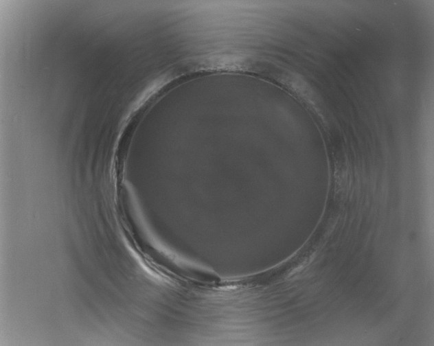 X0000060810674200511101453