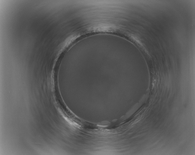 X0000060810678200511101453