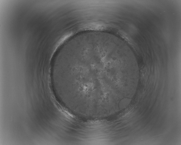 X0000060810679200511101453