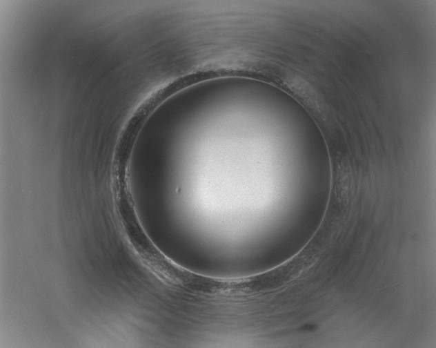 X0000060810680200511101453