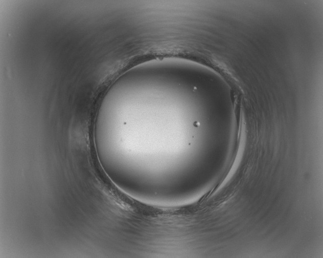 X0000060810681200511101453