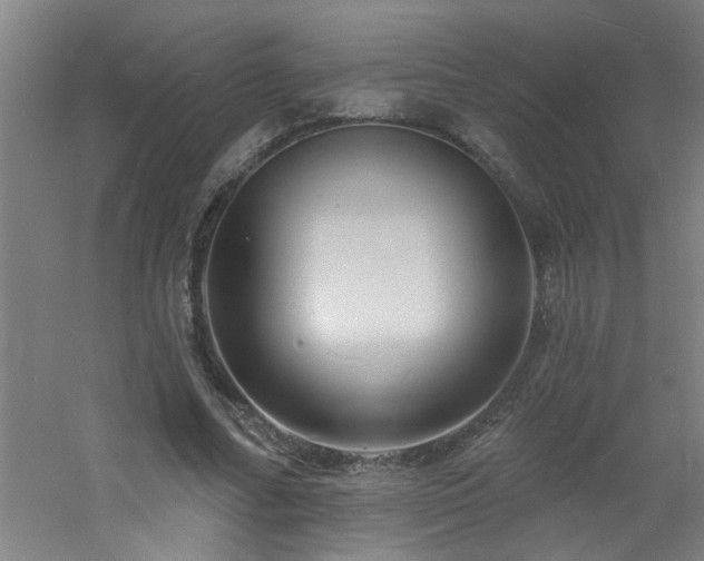 X0000060810682200511101453