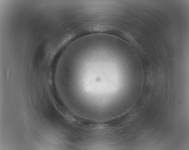 X0000060810683200511101453