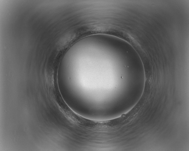 X0000060810685200511101453