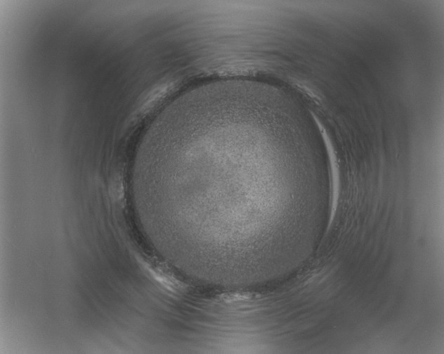 X0000060810687200511101453