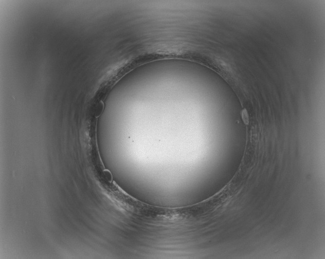 X0000060810688200511101453