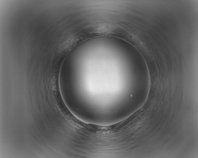 X0000060810689200511101453