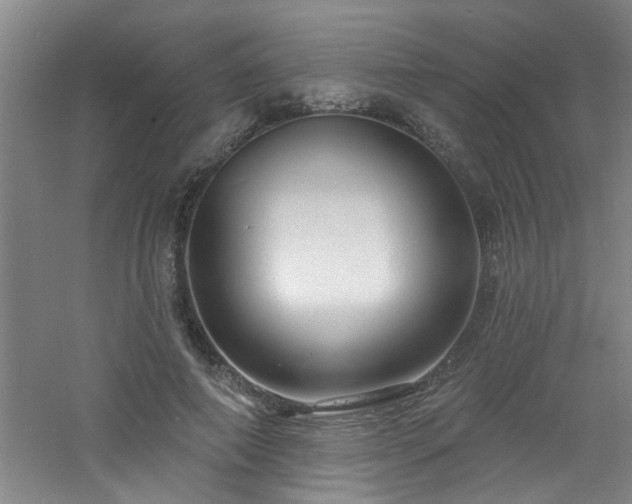 X0000060810690200511101453