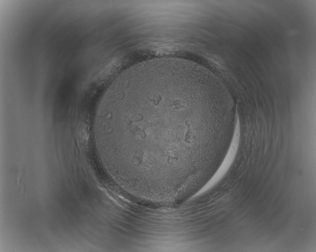 X0000060810691200511101453