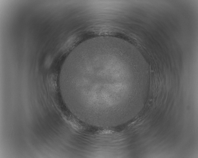 X0000060810695200511101453