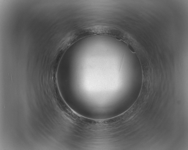 X0000060810696200511101453