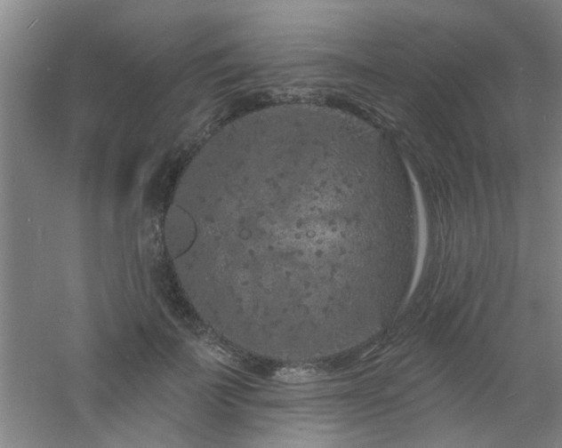 X0000060810699200511101453