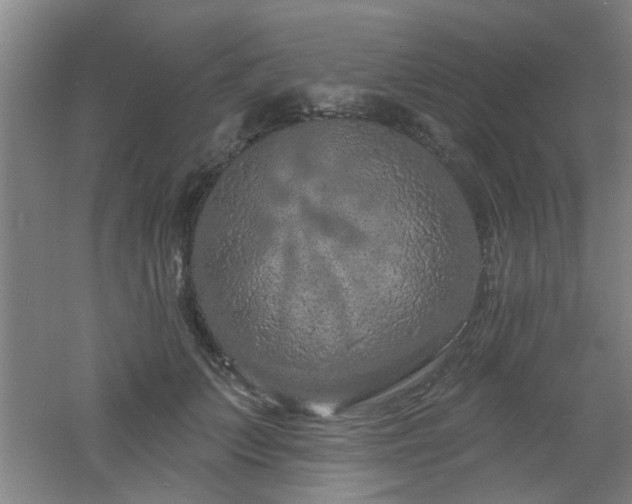 X0000060810703200511101453