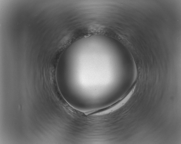 X0000060810712200511101453