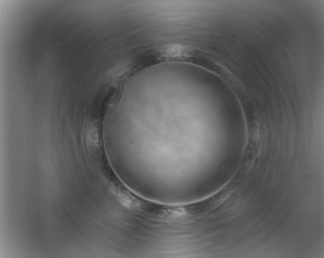 X0000060810715200511101453