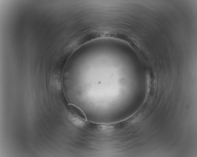 X0000060810719200511101453