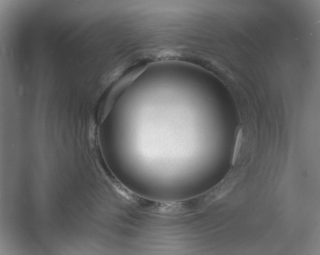 X0000060810720200511101453