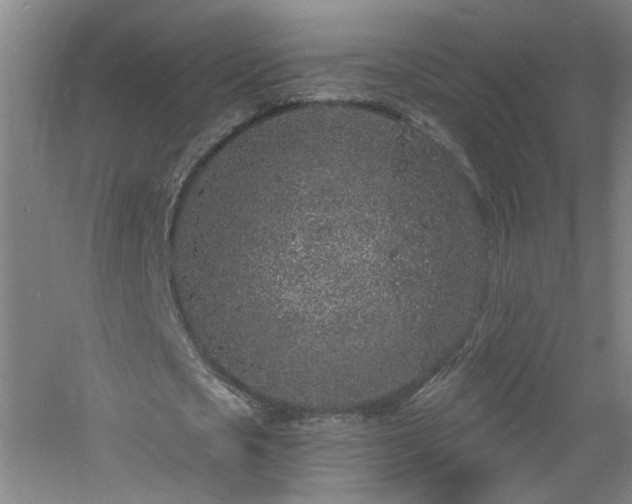 X0000060810721200511101452