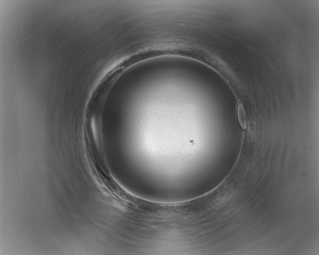 X0000060810724200511101452