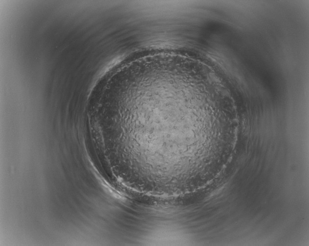 X0000060810725200511101452