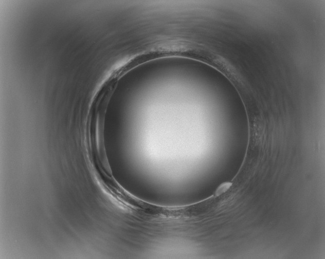 X0000060810726200511101452