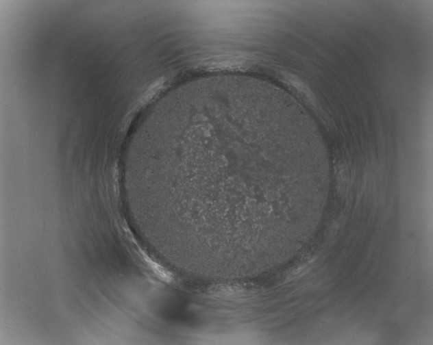 X0000060810729200511101452