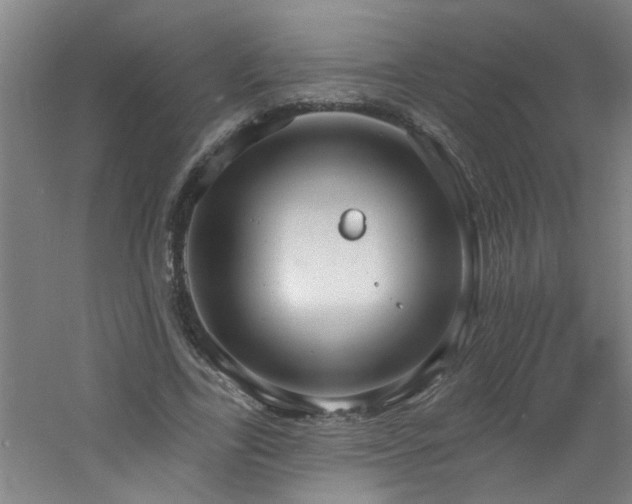 X0000060810731200511101452