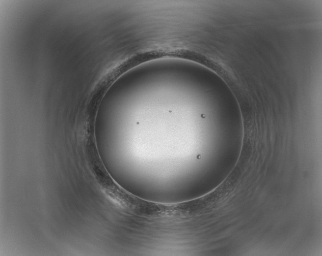 X0000060810736200511101452