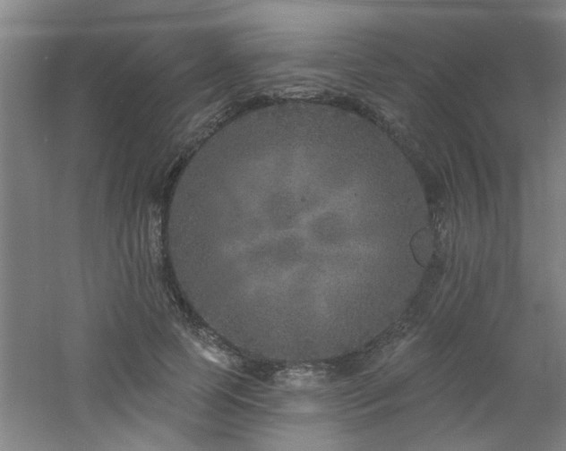 X0000060810745200511101452