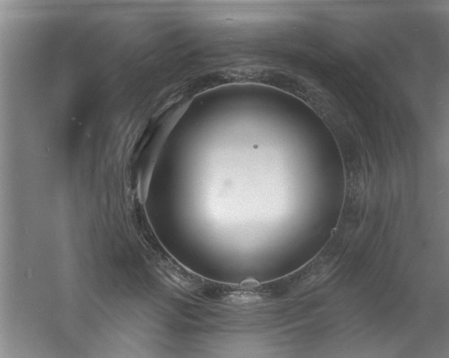 X0000060810749200511101452