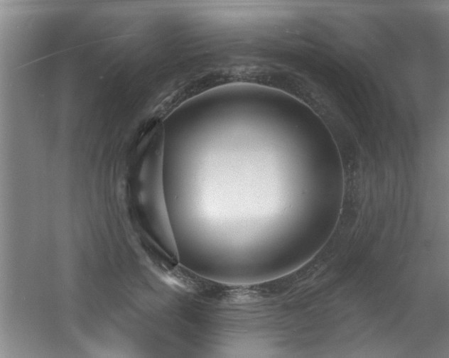 X0000060810750200511101452