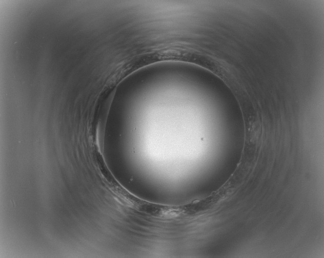 X0000060810753200511101452