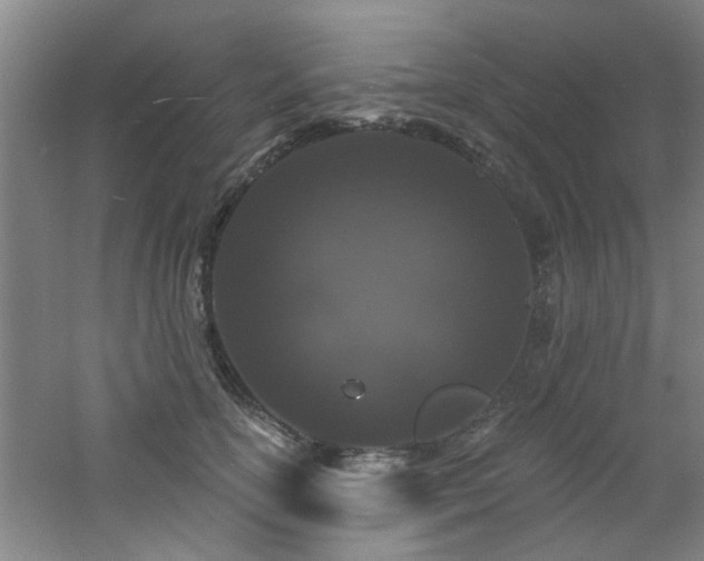 X0000060810754200511101452