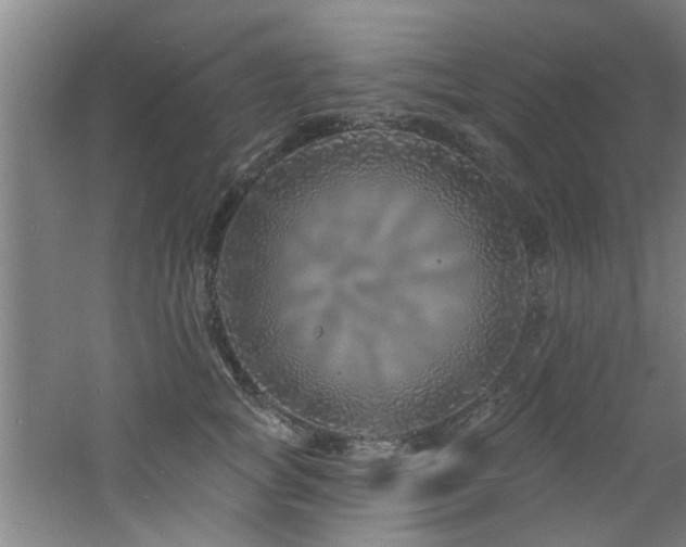 X0000060810757200511101452