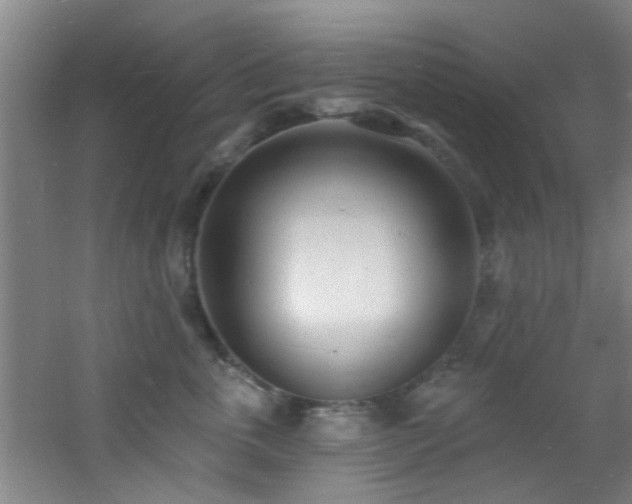 X0000060810763200511101453