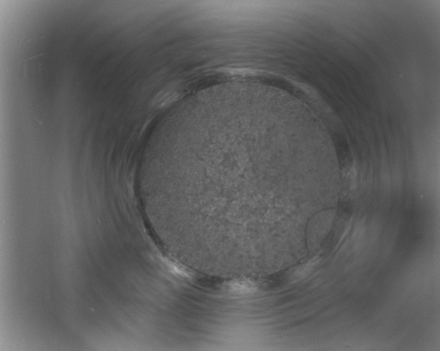 X0000060810765200511101453