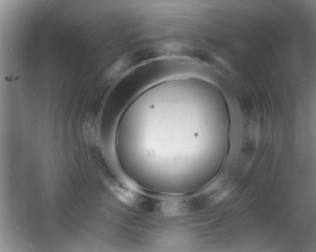 X0000060810766200511101453