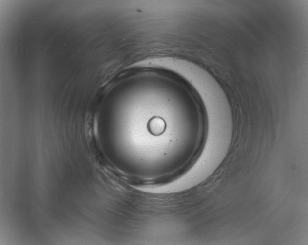 X0000060810768200511101453