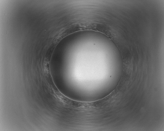 X0000060810770200511101452