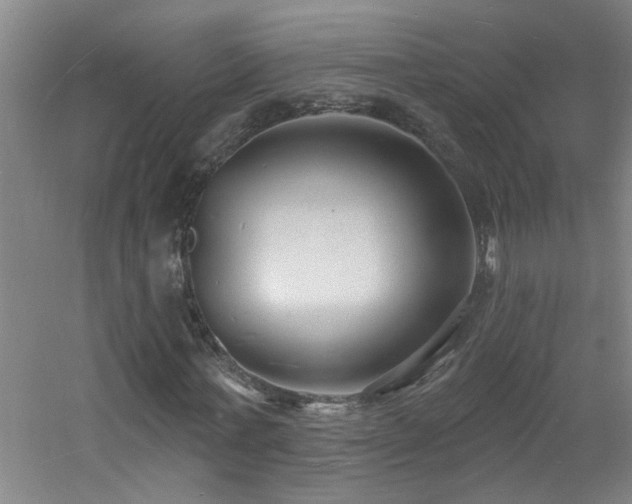 X0000060810771200511101452