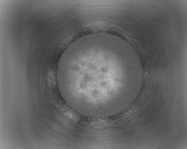 X0000060810772200511101452