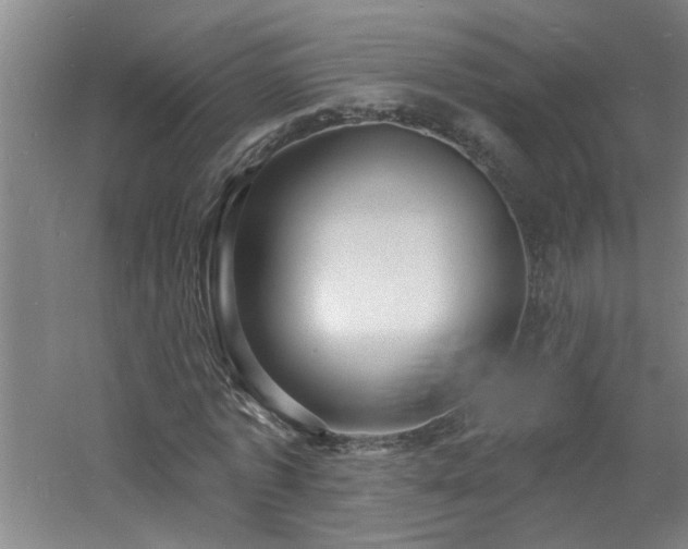 X0000060810773200511101452