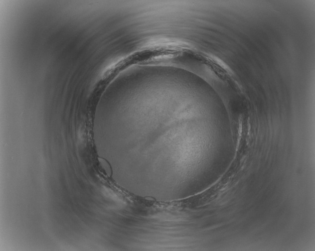 X0000060810775200511101452