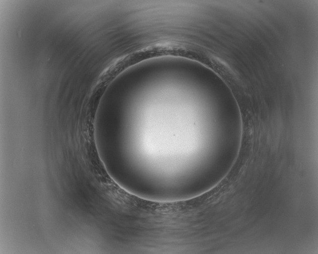 X0000060810776200511101452