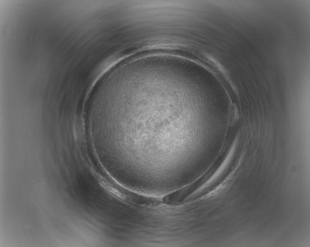 X0000060810779200511101452