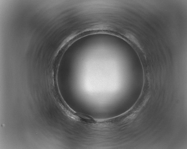 X0000060810781200511101452