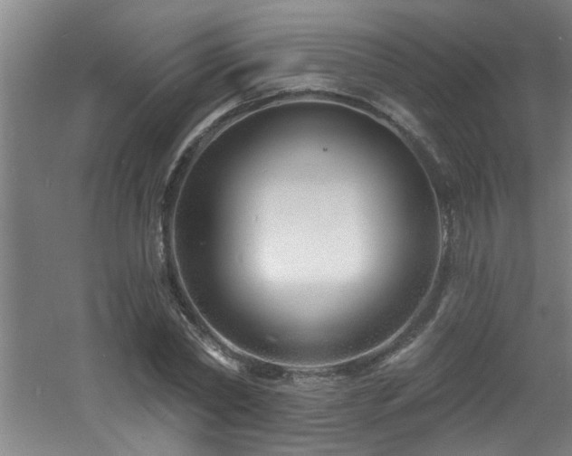 X0000060810782200511101452