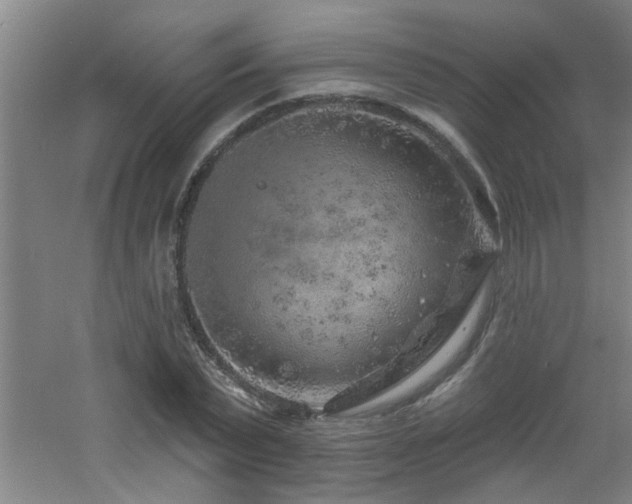 X0000060810783200511101452